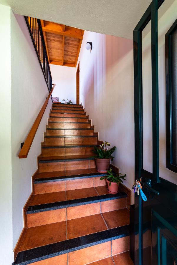 Casa Miguel Βίλα Machico  Εξωτερικό φωτογραφία